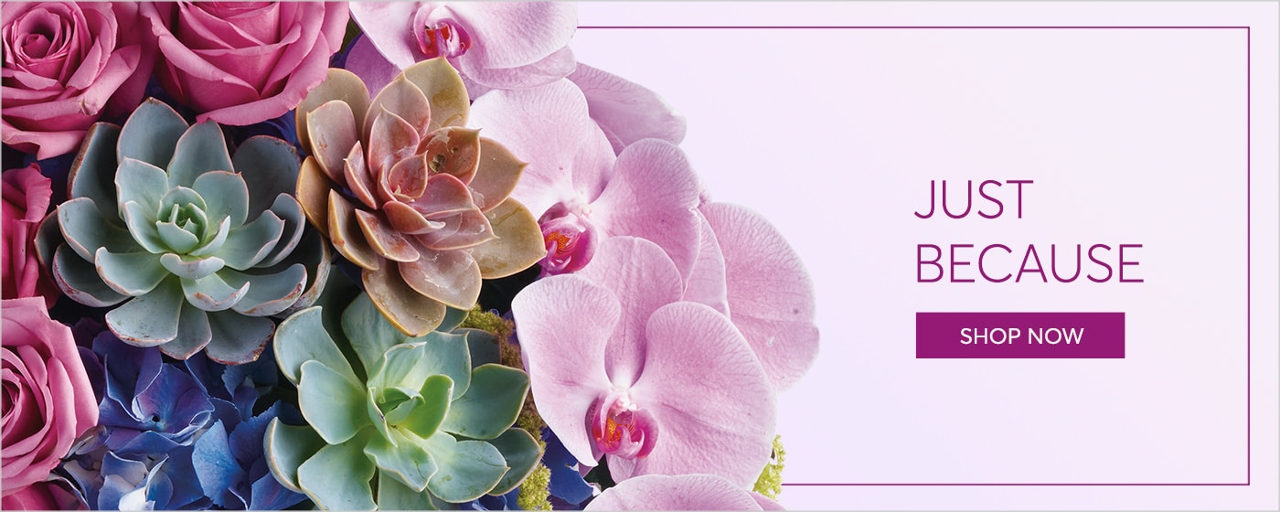 Beautiful Seasonal Flowers Banner