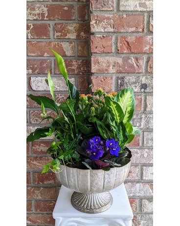 Pedestal Garden Dish Garden Plant